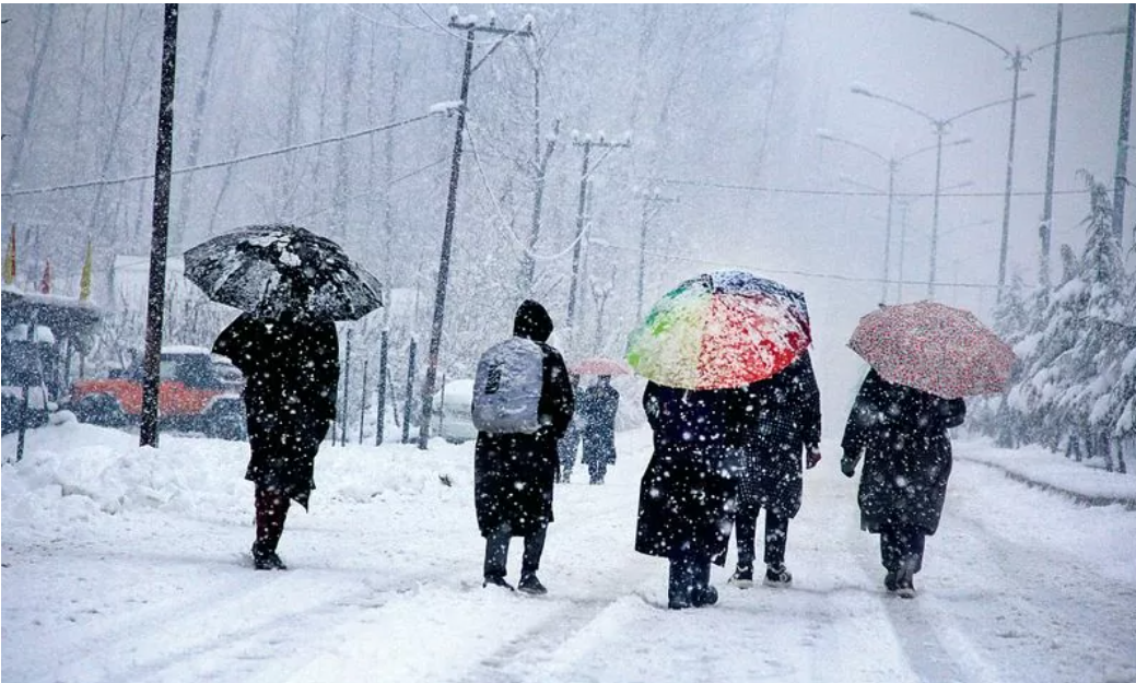 Cold wave in Rajasthan: Alert issued for these 11 districts today.