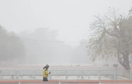 Weather alert for Delhiites: Severe cold wave has begun.