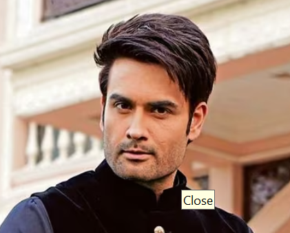 Bigg Boss 18 Vivian Dsena's net worth and his success story